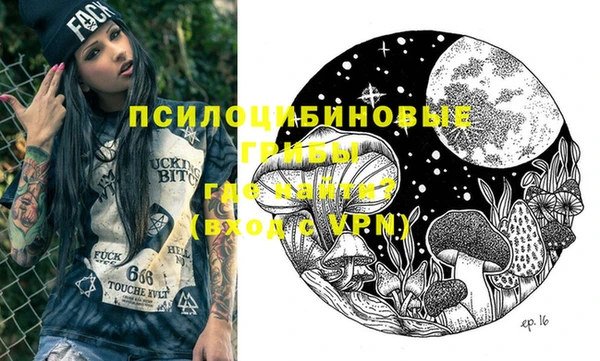ALPHA PVP Коряжма
